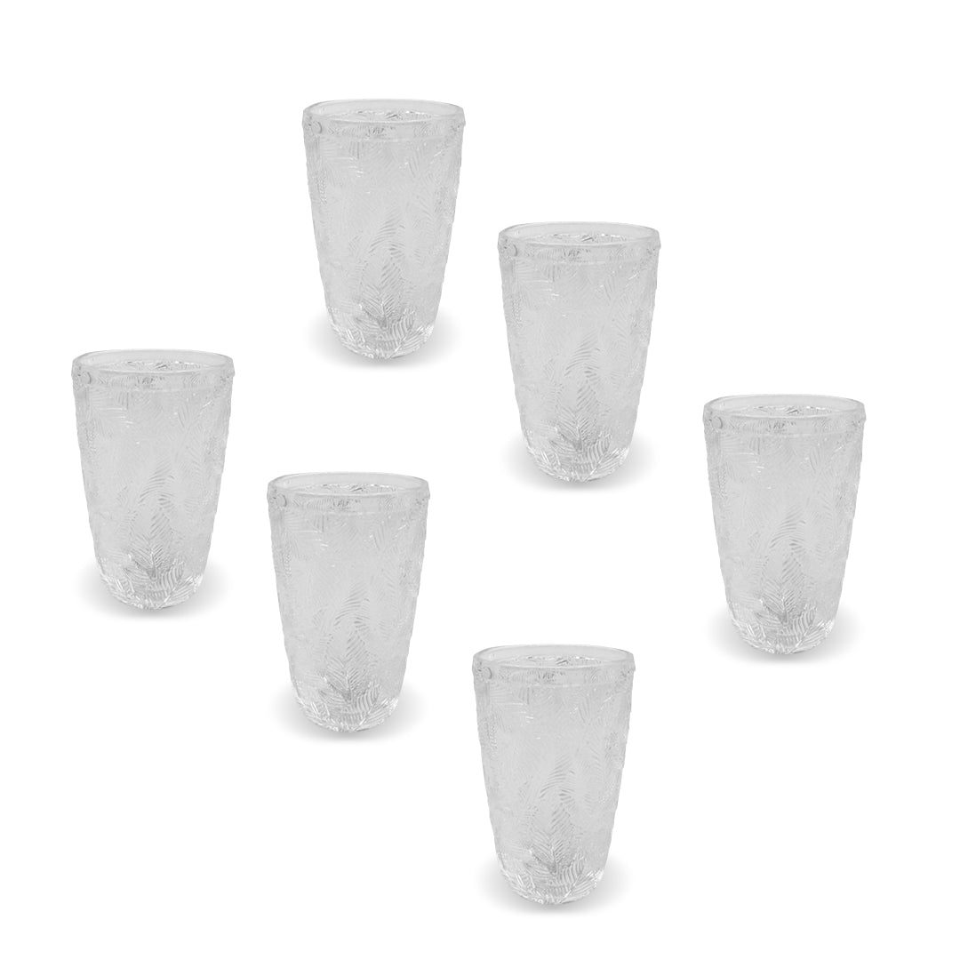 SET OF 6 PCS TROPICAL CUPS