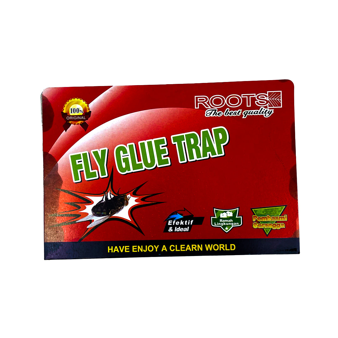 FLY GLUE TRAP